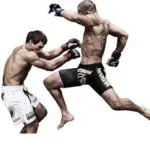 free enjoy MMA-UFC